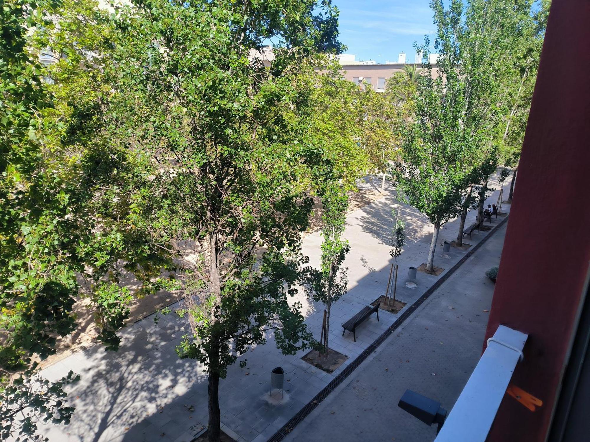 Turisblo Apartamento3 Benicarló Dış mekan fotoğraf